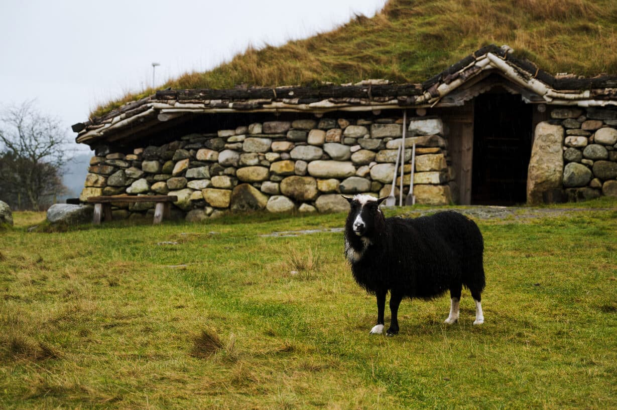 norwegian vikings history