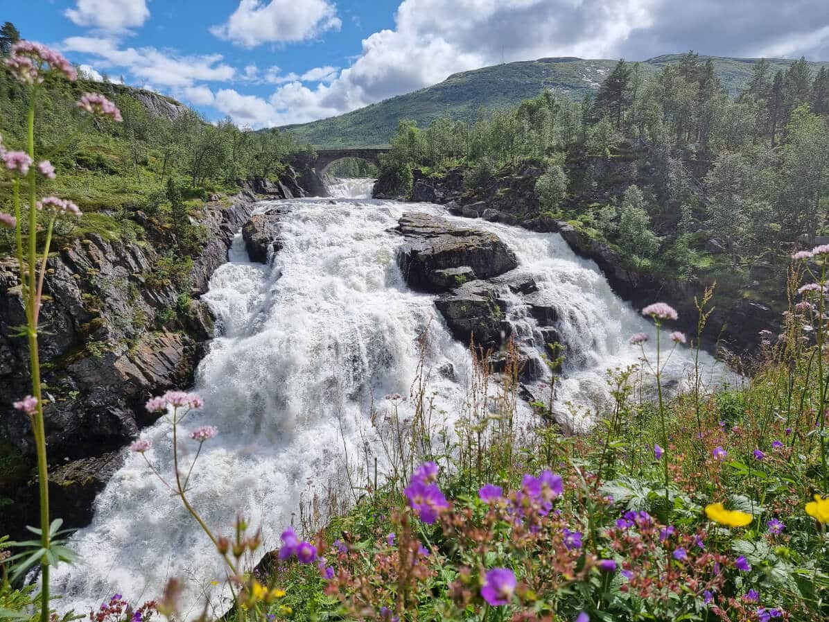 Hardangerfjord, what to do in bergen